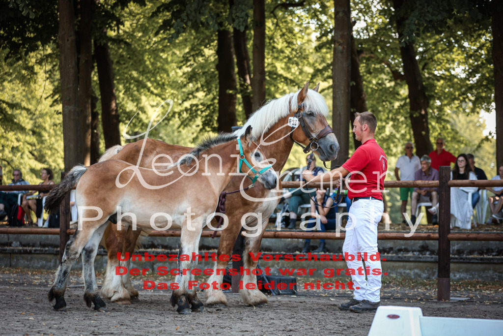FrKHF00074 | Leoni Ertmer Photography - Realisiert mit Pictrs.com