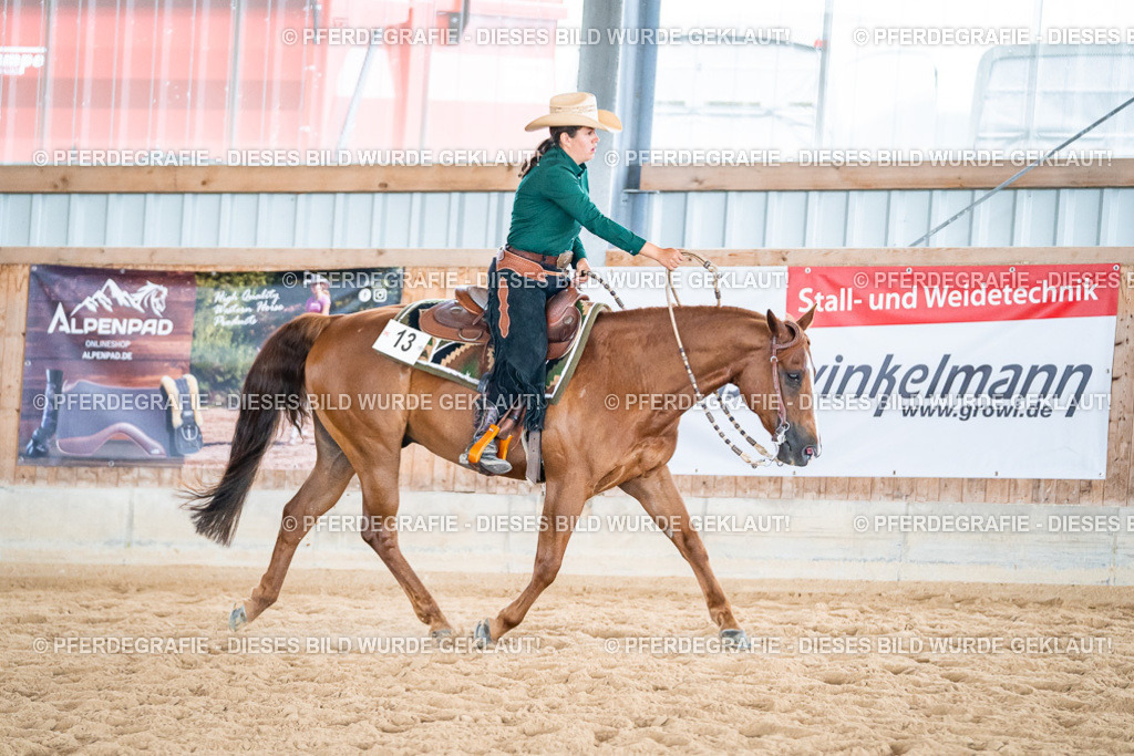 DSC03790 | Pferdegrafie