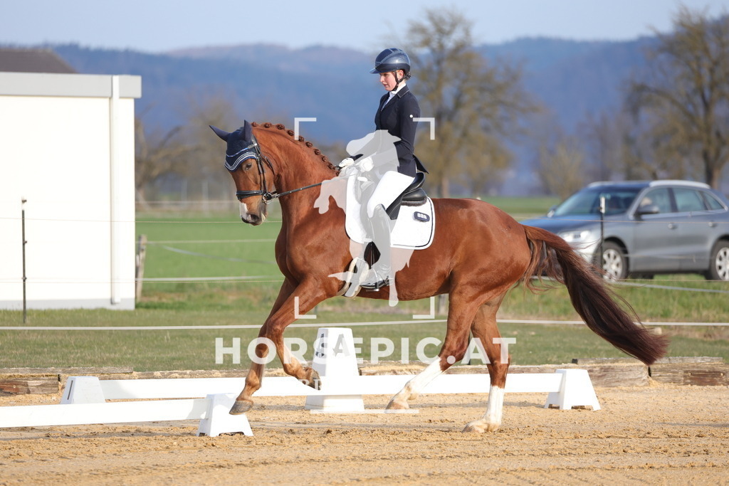 0P6A5934 | Willkommen bei Brunnmayr - Design & Fotografie – Ihrem Spezialisten für Reitturniere und Pferdeveranstaltungen in Oberösterreich, Salzburg und Bayern! Seit über 17 Jahren sind wir leidenschaftlich dabei.