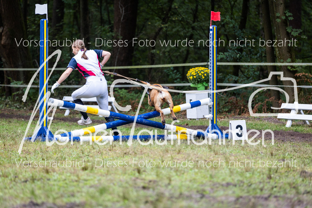 HB-JaD-039 | MomenTaufnahmen Pferdesportfotos