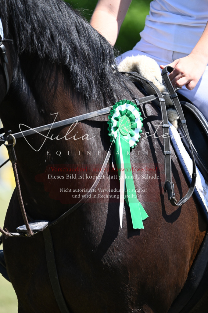 DSC_0895 | Pferde- und Turnierfotografie in Westsachsen. Pferdeportraits, Auftragszeichnungen und intuitive Kunst.
