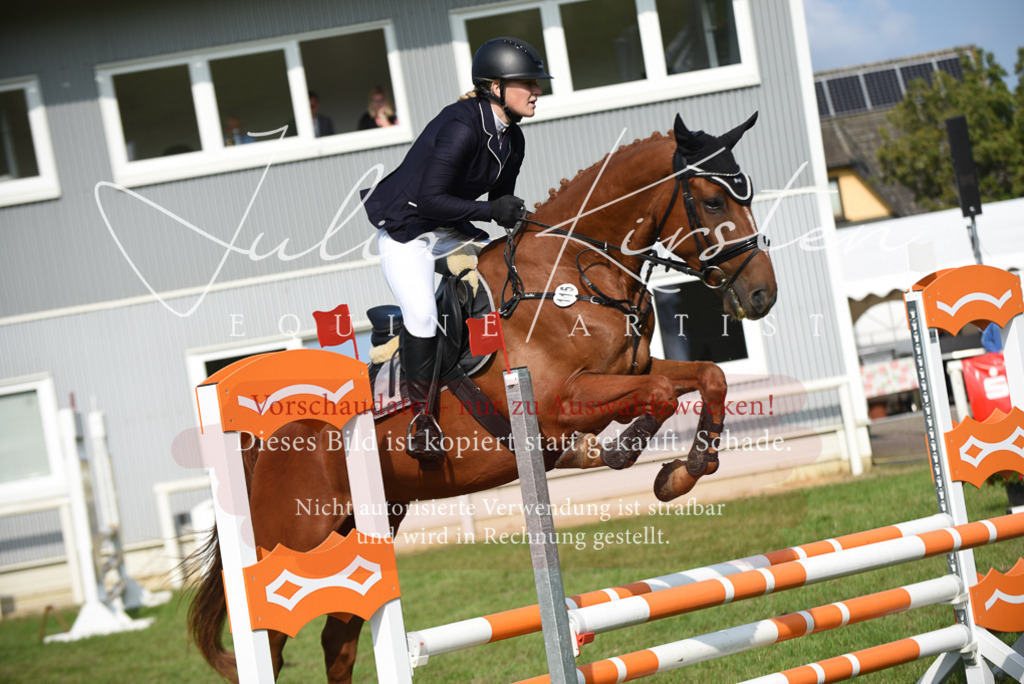 DSC_8824 | Pferde- und Turnierfotografie in Westsachsen. Pferdeportraits, Auftragszeichnungen und intuitive Kunst.