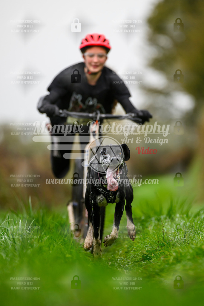 MompixPhotography_20TSB_E8_DS1-38 | PayLife