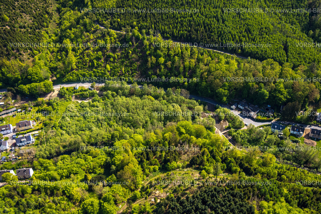Hagen240504605Hohenlimburg | Luftbild, Biotop Königsee Naturschutzgebiet, Waldgebiet mit Waldschäden, Hohenlimburg, Hagen, Ruhrgebiet, Nordrhein-Westfalen, Deutschland