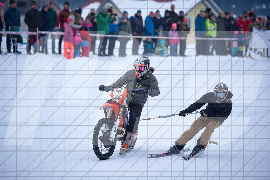 11. Holzknecht Skijöring | Skijöring am 24.01.2026: 11. Holzknecht Skijöring in Gosau am Dachstein, Oberösterreich, ÖsterreichFoto: © 2026 Martin Bihounek | mb-creative.eu