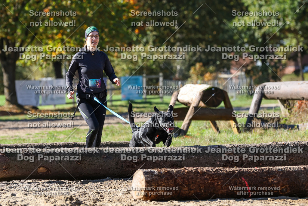 Dog Paparazzi - Strongdog 10-25-2804 | Dog Paparazzi Jeanette Grottendiek Fotografie & Videografie - Realisiert mit Pictrs.com