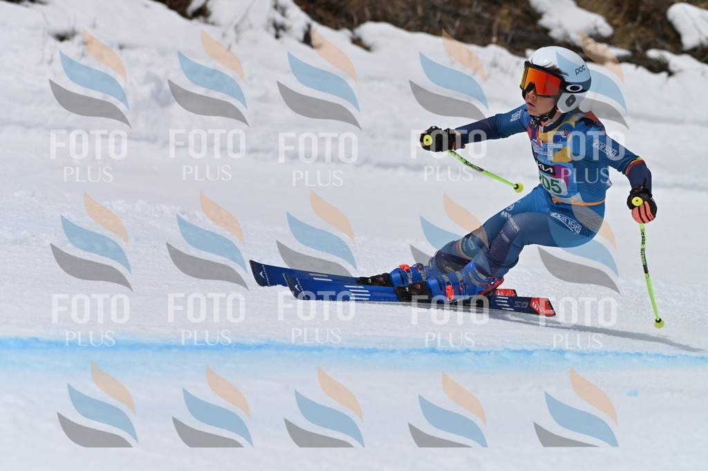 BGV_3957 | holidayphoto