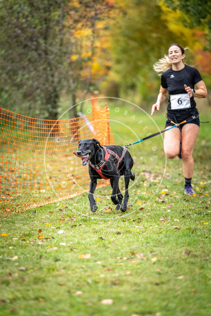 Pfotenfotografie_DV3A1731 | Hundefotografie, Tierfotograf, Pfotenfotografie, Fotoshooting Hund, Hunde Portrait, Hundesport, Hundeportraits, Heideshooting, Hunde, Sportfotograf, Hundefotograf, Turnierhundsport, THS,  - Realisiert mit Pictrs.com