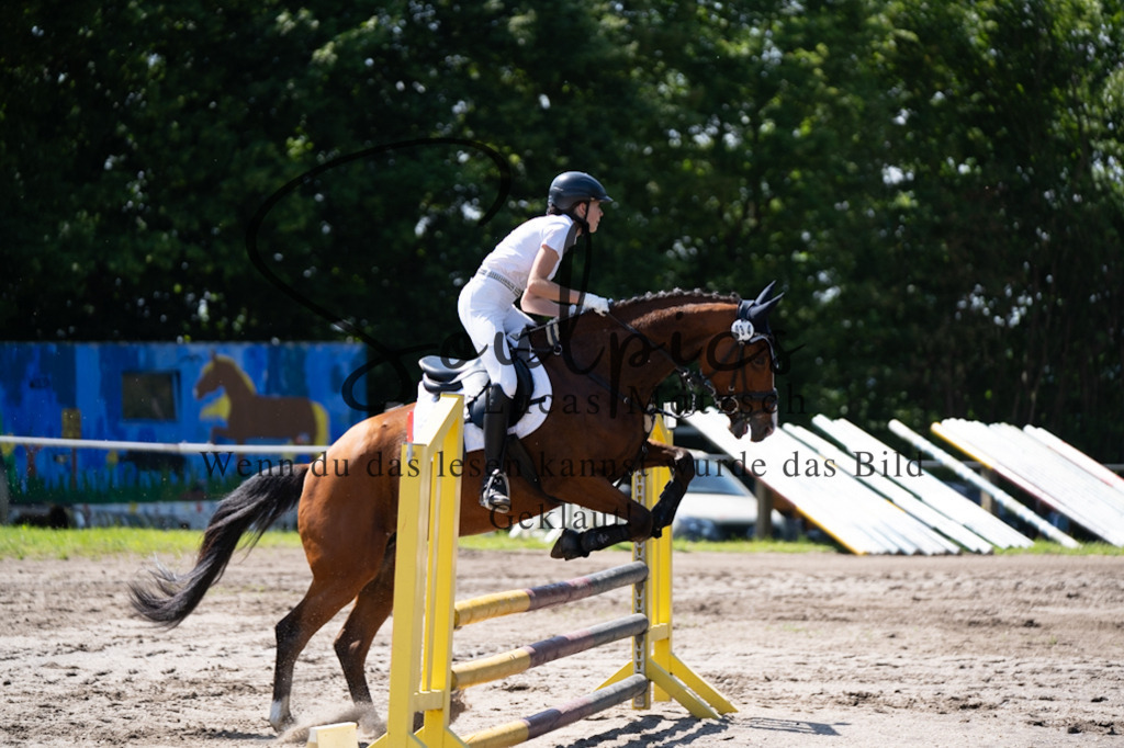 A7V03275 | Pferdefotograf