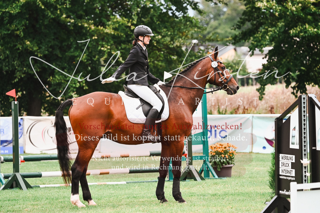 DSC_5960 | Pferde- und Turnierfotografie in Westsachsen. Pferdeportraits, Auftragszeichnungen und intuitive Kunst.