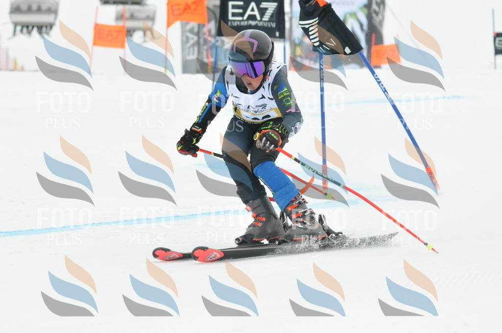 DSC_8519 | holidayphoto