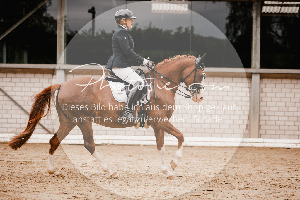 3I6A7772 | Stimmungsvolle Portraits und Reitsportfotografie im Ruhrgebiet und im Münsterland.

Pferdefotografie, Hundefotografie, Tierfotografie, Reportagen, Portraits von Tier und Mensch, Turnierfotografie in Bochum, Recklinghausen, Marl, Haltern am See, Dülmen.. - Realisiert mit Pictrs.com