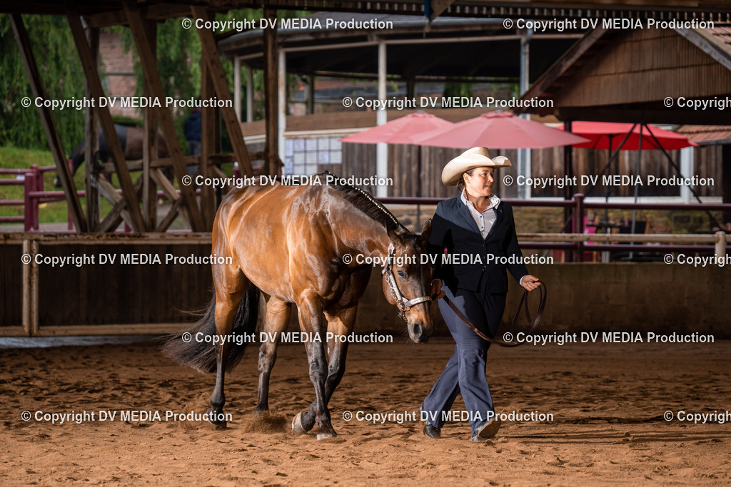 Erbach Tag 4-111 | dv-media-shop - Realisiert mit Pictrs.com