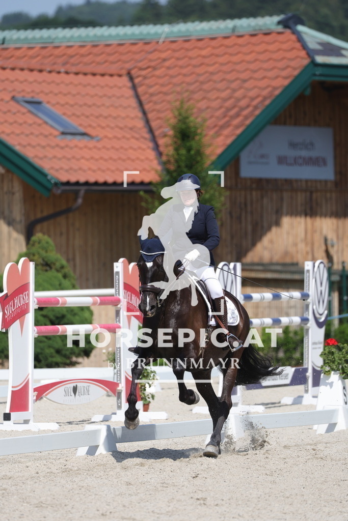 0P6A6557 | Willkommen bei Brunnmayr - Design & Fotografie – Ihrem Spezialisten für Reitturniere und Pferdeveranstaltungen in Oberösterreich, Salzburg und Bayern! Seit über 17 Jahren sind wir leidenschaftlich dabei.