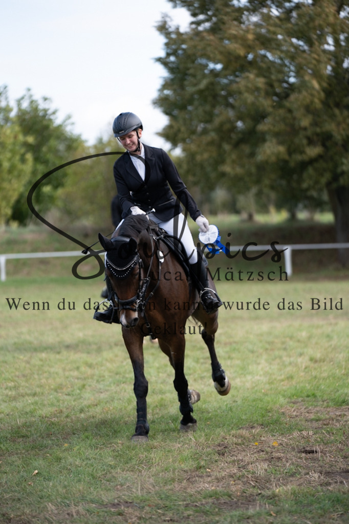 A7V06903 | Pferdefotograf