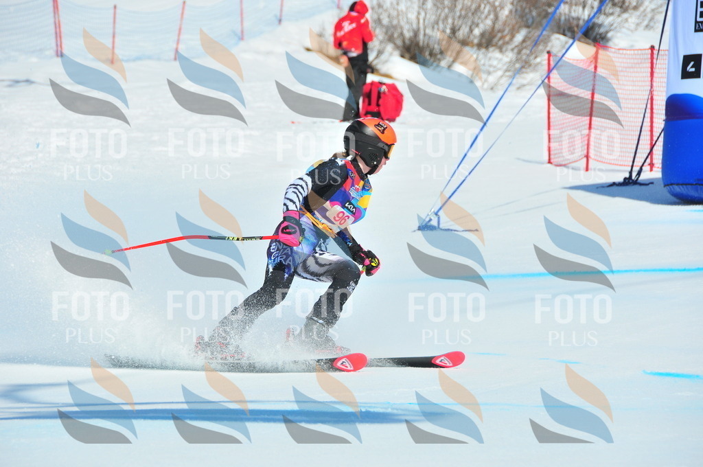 DSC_4554 | holidayphoto