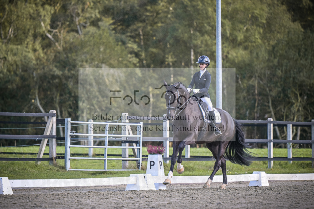 DOS_4349 | Entdecke hochwertige Reitturnierfotos von Foto Oger. Professionell, emotional und authentisch – jetzt Lieblingsmomente im Shop bestellen.Deutschlandweite Turnierfotografie. - Realisiert mit Pictrs.com