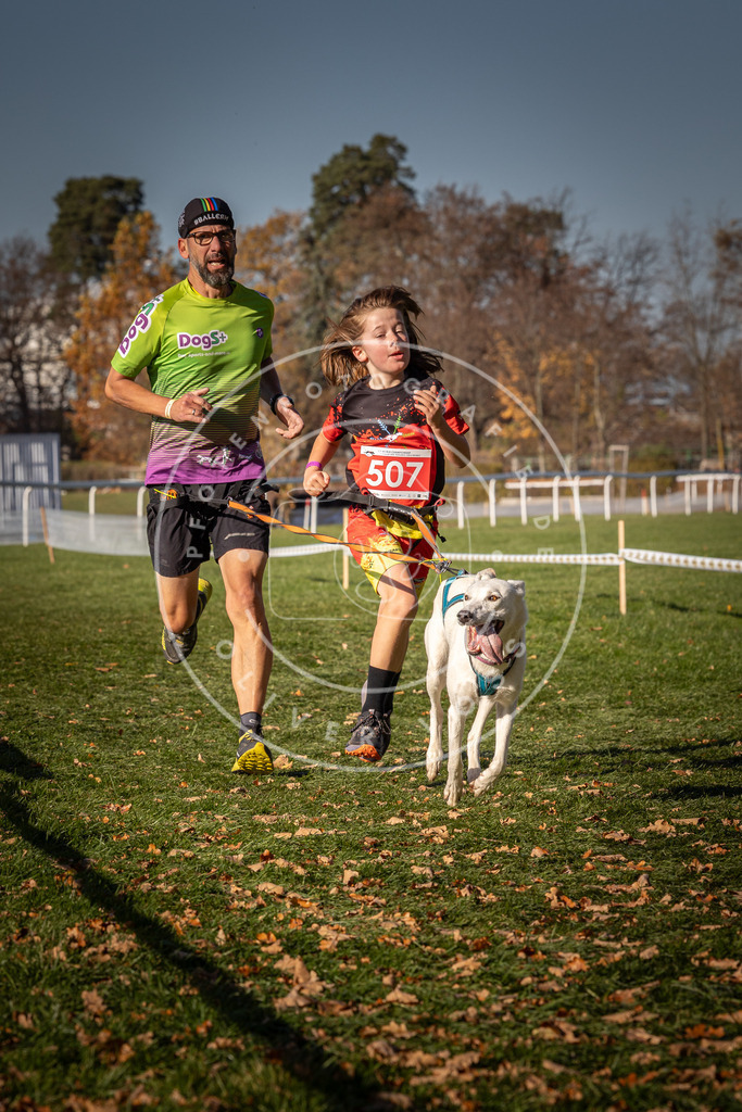CaniXpix_0L8A6749 | Hundefotografie, Tierfotograf, Pfotenfotografie, Fotoshooting Hund, Hunde Portrait, Hundesport, Hundeportraits, Heideshooting, Hunde, Sportfotograf, Hundefotograf, Turnierhundsport, THS,  - Realisiert mit Pictrs.com