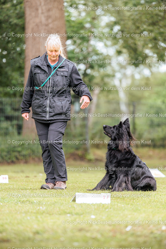 RO-Blumenthal-2026-Nickbest-Hundefotografie-3262 | Dein Hund! Dein Moment! Deine Erinnerungen! Hundefotografie in Bremen Blumenthal. Ich fange die besonderen Momente deines Vierbeiners ein – ob Indoor mit Blitzanlage oder in der freien Natur. Sicher dir dein Moment und dein Termin für eure Erinnerungen.