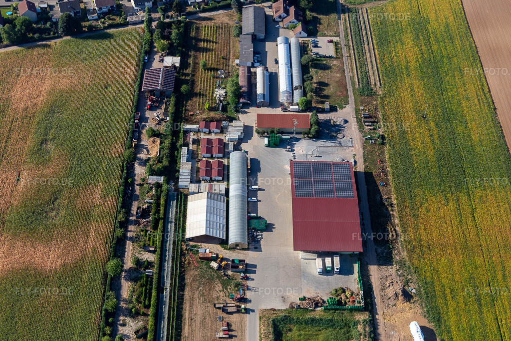 Luftbild: Biohof Kugelmann in Kandel im Bundesland Rheinland-Pfalz in Deutschland. Foto: IMG_134025.jpg vom 21.08.2022 durch Werner Riehm/FLY-FOTO.dePfalzBio