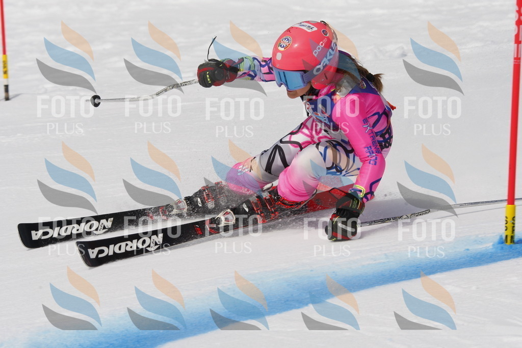 _W1G0410 | holidayphoto