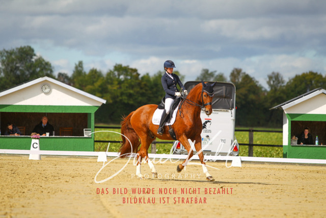 DKP44113 | Turniersportfotografie; Pferdefotografie; Dressurfotografie