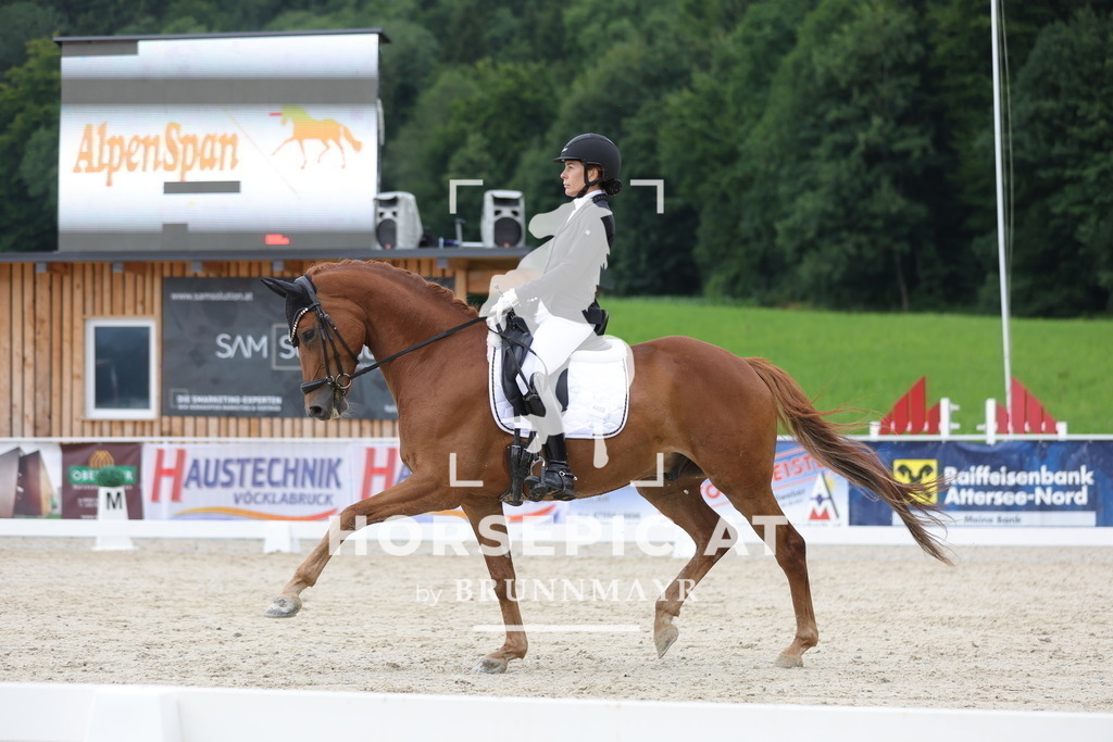 0P6A4750 | Willkommen bei Brunnmayr - Design & Fotografie – Ihrem Spezialisten für Reitturniere und Pferdeveranstaltungen in Oberösterreich, Salzburg und Bayern! Seit über 17 Jahren sind wir leidenschaftlich dabei.