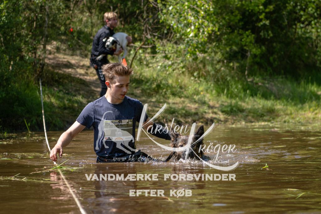 1514DKK992664 | kk-dogfotos