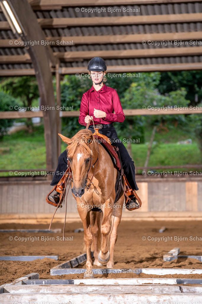 LMB04936 | BS-foto