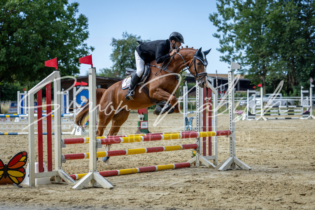 20260704-_3LI6767 | Tierfotografie Pferde, Hunde, Katzen, Haustiere.
Turnierfotografie Reitturniere, Reiten, Springreiten, Dressur in Hanau, dem Main-Kinzig-Kreis und dem Rhein-Main- Gebiet um Frankfurt