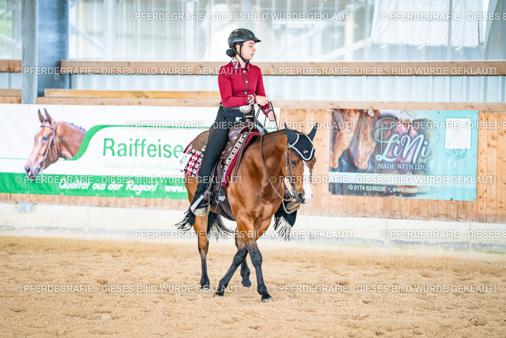 DSC02488 | Pferdegrafie