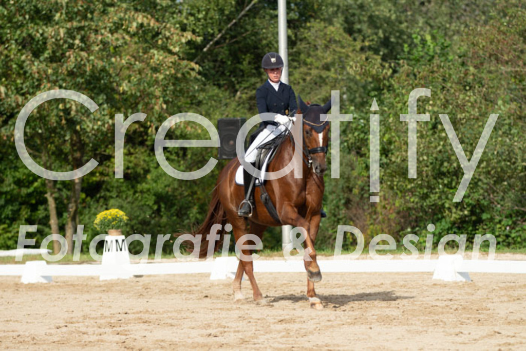 IMG_4186 | Creatify Fotografie