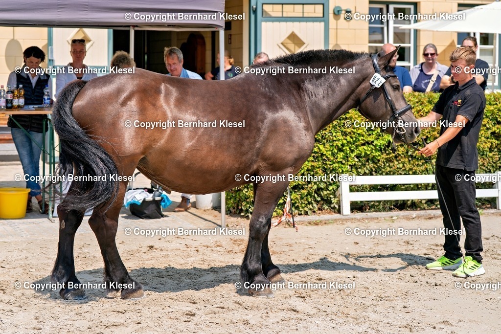 2A900736 | foto-team-bernhard - Realisiert mit Pictrs.com