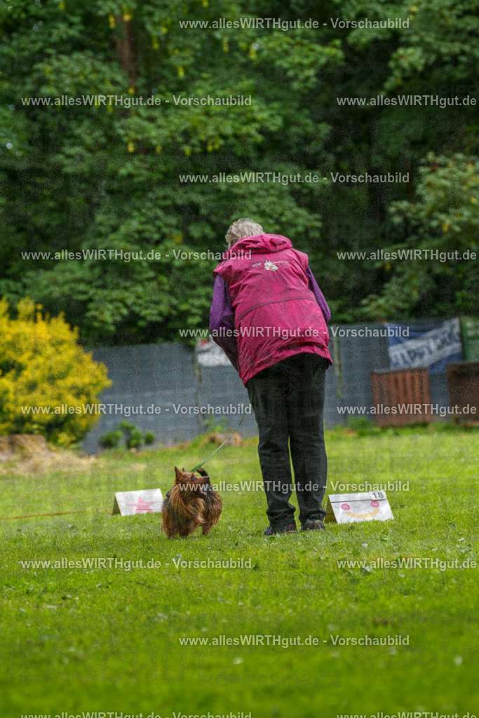 @allesWIRTHgut_Tierfotografie - www.allesWIRTHgut.de - 130954-7R509872 | Professionelle Tierfotografie in Mönchengladbach von Daniel Wirth (allesWIRTHgut). Liebevolle & natürliche Bilder von Hunden & Katzen für unvergessliche Erinnerungen.