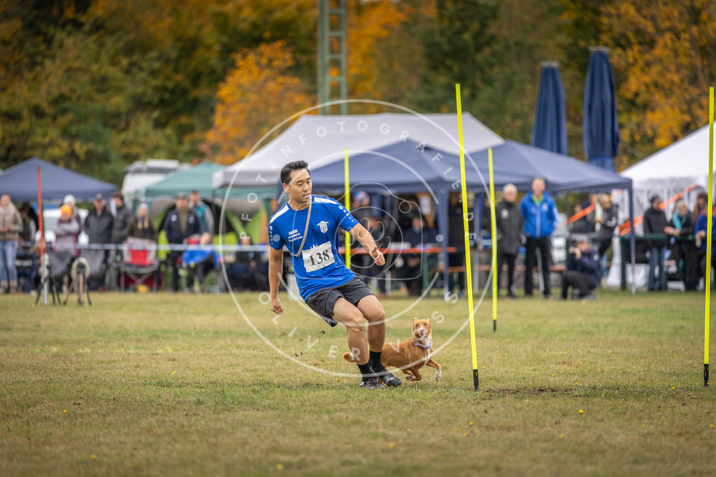 Pfotenfotografie_DV3A8191 | Hundefotografie, Tierfotograf, Pfotenfotografie, Fotoshooting Hund, Hunde Portrait, Hundesport, Hundeportraits, Heideshooting, Hunde, Sportfotograf, Hundefotograf, Turnierhundsport, THS,  - Realisiert mit Pictrs.com