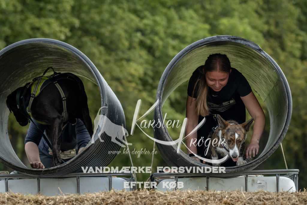 1034_ZZ92419 | kk-dogfotos