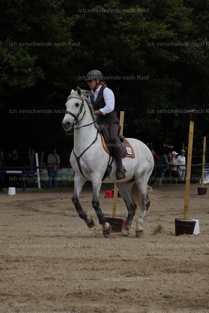 KlasseS_Lucie (204) | working equitationturnier fotograf videograf stoibphotography marixx film working equitation deutschland reitsport turnierfotografie eventfotografie equestrian events