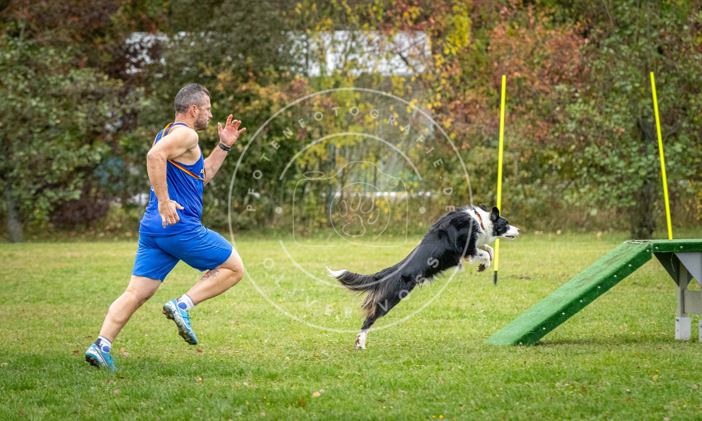 Pfotenfotografie_DV3A0906 | Hundefotografie, Tierfotograf, Pfotenfotografie, Fotoshooting Hund, Hunde Portrait, Hundesport, Hundeportraits, Heideshooting, Hunde, Sportfotograf, Hundefotograf, Turnierhundsport, THS,  - Realisiert mit Pictrs.com