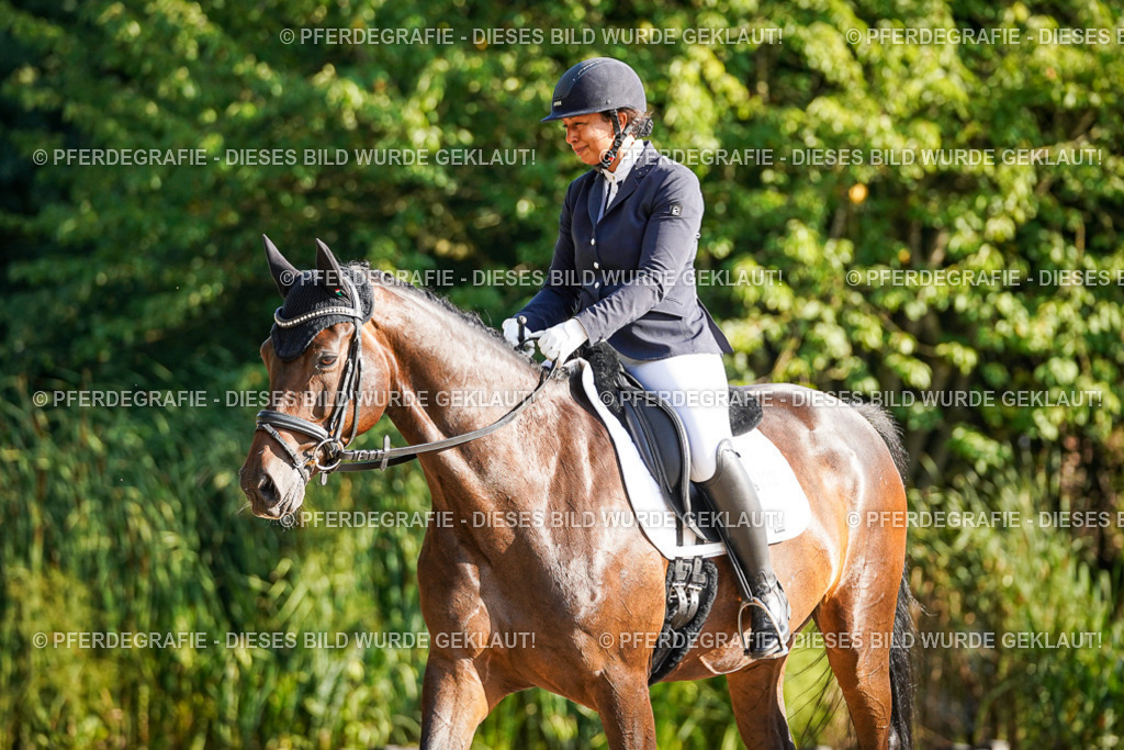 DSC08616 | Pferdegrafie