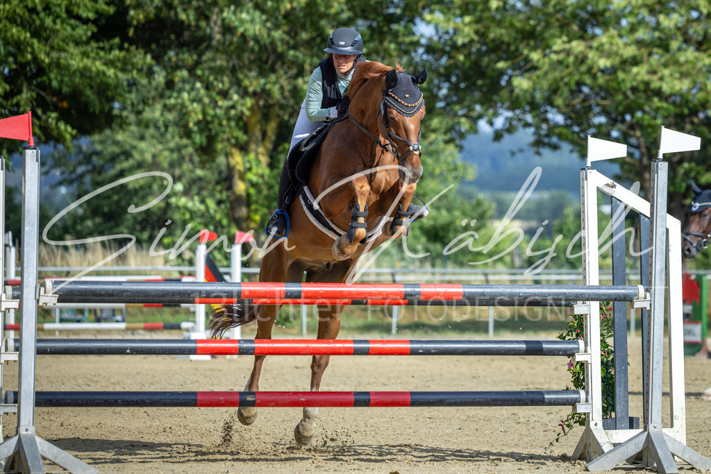 20260704-_3LI2174 | Tierfotografie Pferde, Hunde, Katzen, Haustiere.
Turnierfotografie Reitturniere, Reiten, Springreiten, Dressur in Hanau, dem Main-Kinzig-Kreis und dem Rhein-Main- Gebiet um Frankfurt