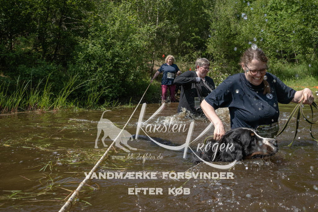 1425DKK990345 | kk-dogfotos