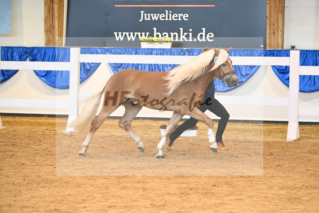 Kat-Nr. 16 nn v. Wendelin_Knoll_60220250 | hf-fotografie - Realisiert mit Pictrs.com