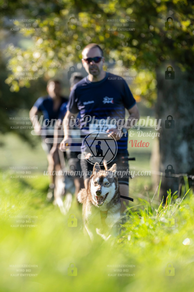 MompixPhotography_20TSB_E3_Run-171 | PayLife