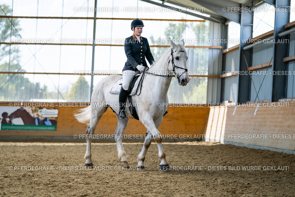 DSC05706 | Pferdegrafie