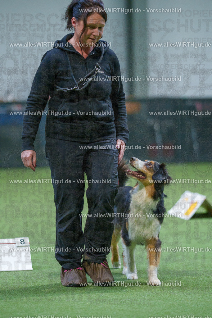 7R502001 | Professionelle Tierfotografie in Mönchengladbach von Daniel Wirth (allesWIRTHgut). Liebevolle & natürliche Bilder von Hunden & Katzen für unvergessliche Erinnerungen.