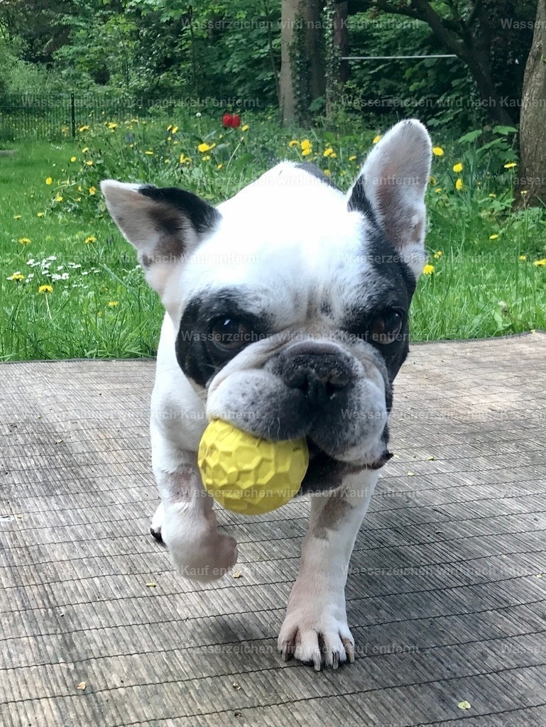 IMG_1290 | heikomoeller - Realisiert mit Pictrs.com