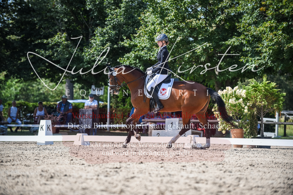DSC_9498 | Pferde- und Turnierfotografie in Westsachsen. Pferdeportraits, Auftragszeichnungen und intuitive Kunst.