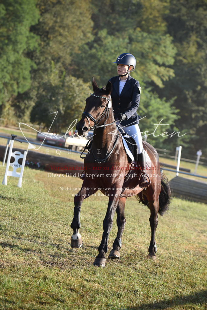 DSC_4883 | Pferde- und Turnierfotografie in Westsachsen. Pferdeportraits, Auftragszeichnungen und intuitive Kunst.
