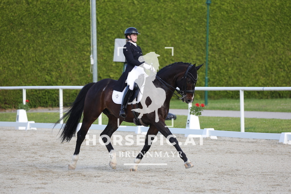 0P6A3762 | Willkommen bei Brunnmayr - Design & Fotografie – Ihrem Spezialisten für Reitturniere und Pferdeveranstaltungen in Oberösterreich, Salzburg und Bayern! Seit über 17 Jahren sind wir leidenschaftlich dabei.