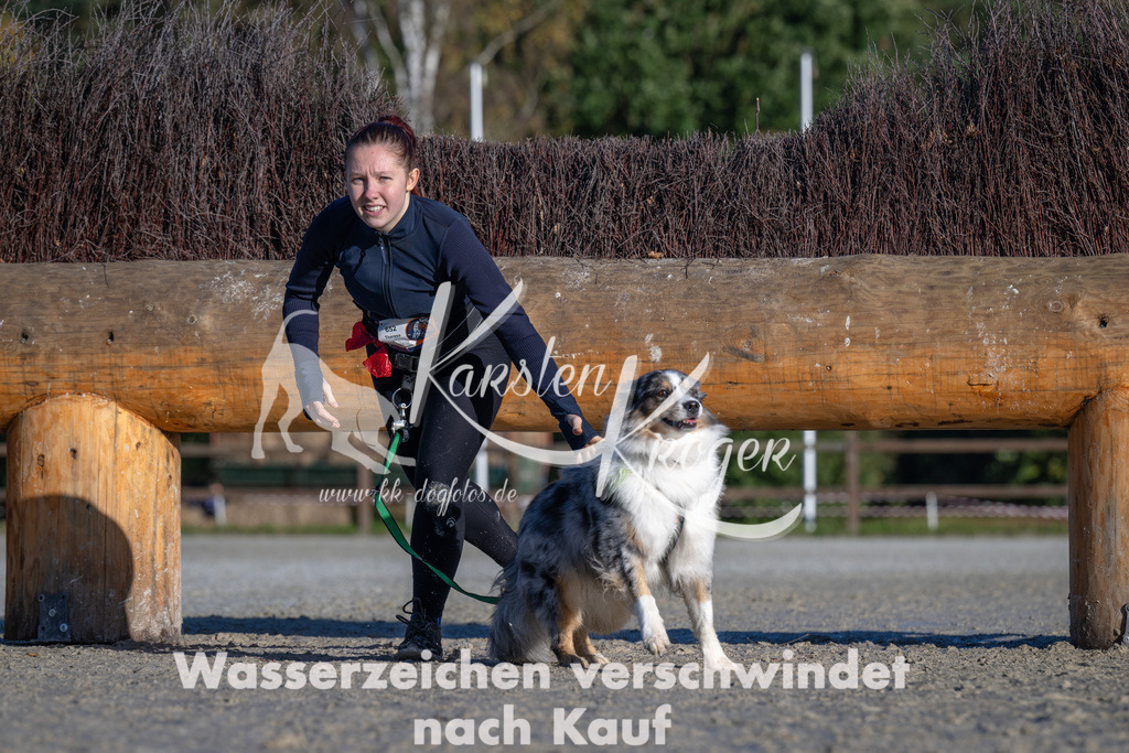 1017-_ZZ90589 | kk-dogfotos